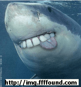 TIBURON-SEDA-250x267% - A los tiburones les gusta los gusanos de seda