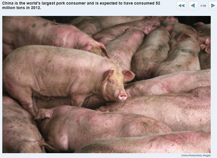 china-y-los-cerdos-720x525% - China y los cerdos
