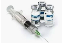 vacuna% - ¿Qué llevan realmente las vacunas covid?